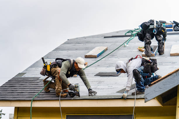 Professional Storm Damage Roof Repair technician working in Danville, OH